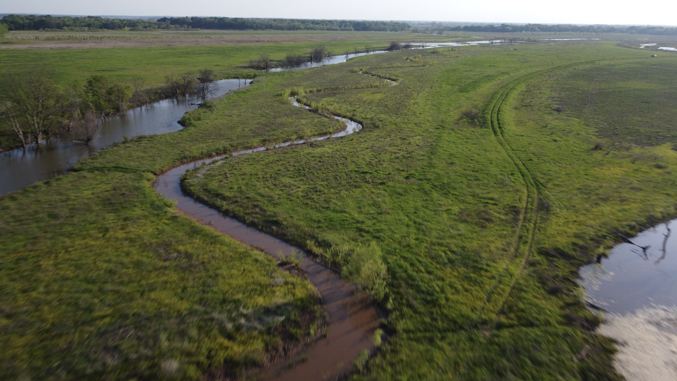 Restoration Projects- Bigger in Texas!